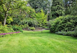 Optimiser l'expérience du jardin à Reville-aux-Bois
